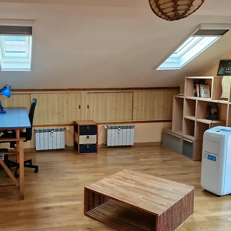 Mansarda Condizionata E Posto Auto In Centro - No Ztl - Roby Wood Appartement Padua